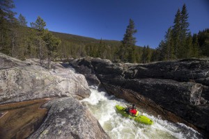 IMG_1545
